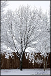 DigitalScape Photography